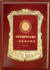 樂清市輸配電行業(yè)協(xié)會理事