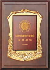 樂清市輸配電行業(yè)協(xié)會會員