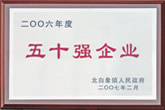 二OO六年度50強企業(yè)