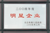 二OO四年度明星企業(yè)